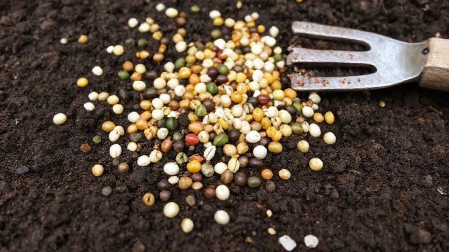 失敗しない！野菜 種まき時期 一覧表とコツ - 初心者向け！野菜の種まき時期一覧と失敗しない栽培のコツ