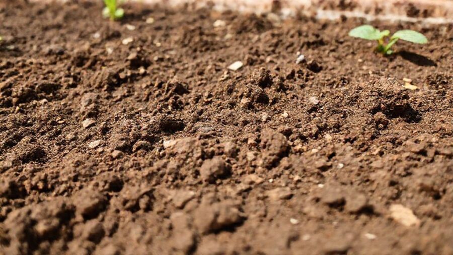 失敗しない！野菜 種まき時期 一覧表とコツ - 畑で育てる：土作りと畝作りの基本