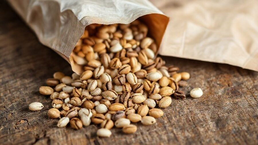 野菜の種、期限切れでもOK？発芽のコツと活用術 - 種の有効期限とは？種苗法と発芽率の関係