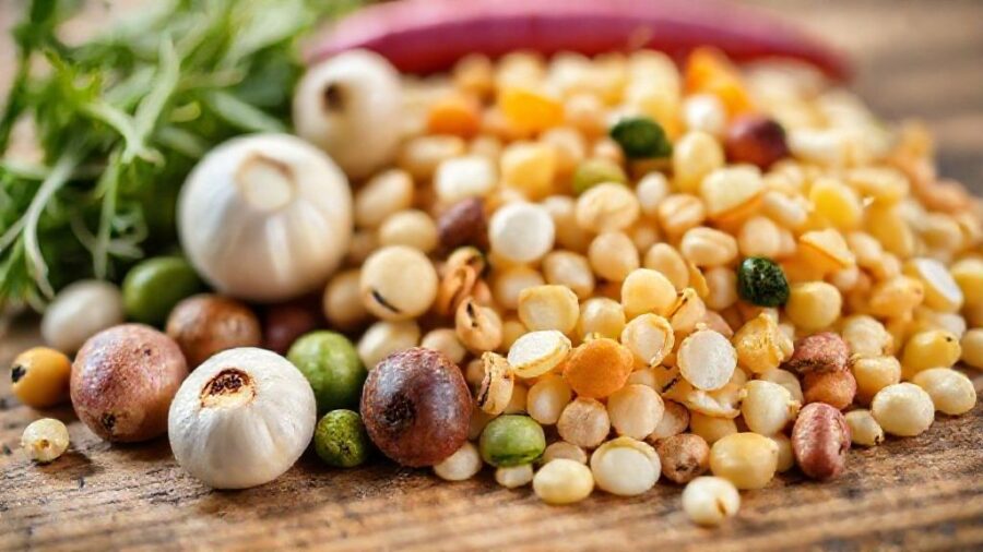 野菜の種、期限切れでもOK？発芽のコツと活用術 - 種の寿命は野菜の種類で違う？長命・常命・短命種子