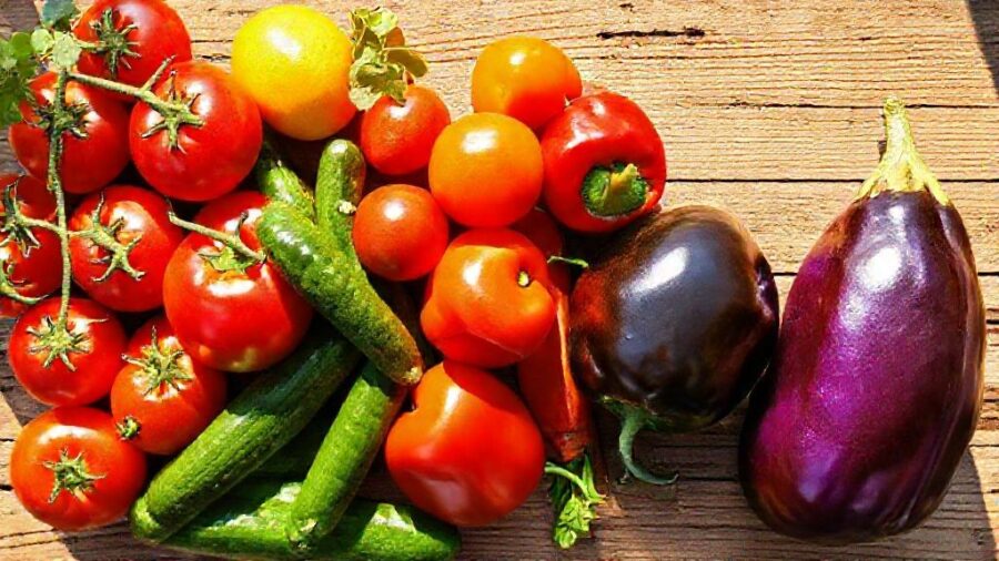 野菜苗の植え時！最適な時間帯と生育の関係 - 夏野菜は午前？時間帯別の推奨と根拠