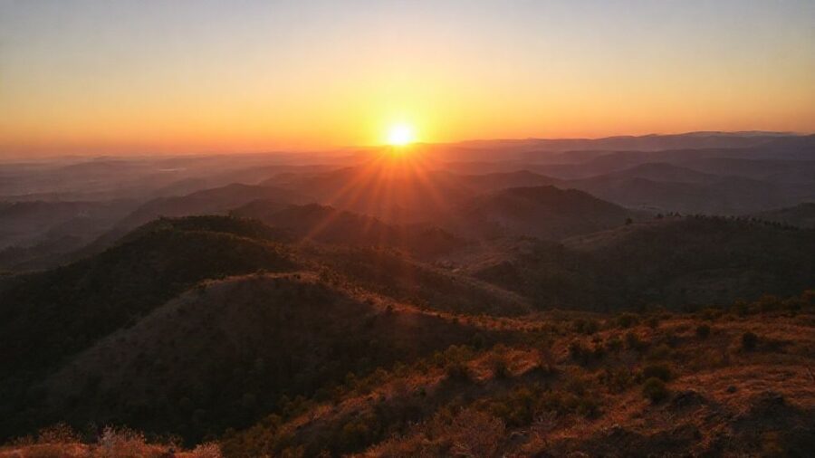 野菜苗の植え時！最適な時間帯と生育の関係 - 地域別！気候データに基づく時間帯の選び方