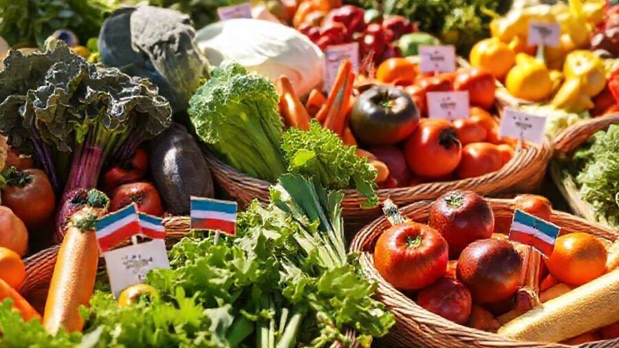 家庭菜園はコスパ悪い？原因と対策を徹底解説！ - 地域別・季節別の野菜価格変動：賢く比較検討