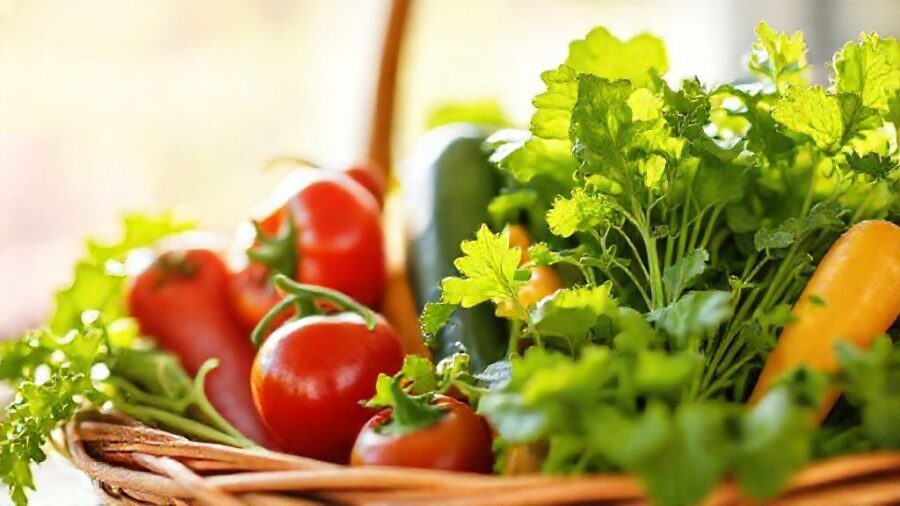 家庭菜園はコスパ悪い？原因と対策を徹底解説！ - 無農薬野菜の健康価値：医療費削減効果とは？