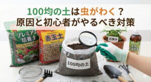 100均の土は虫がわく?原因と初心者がやるべき対策
