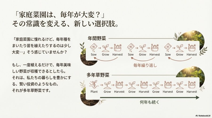 プランターで多年草野菜を育てるメリット