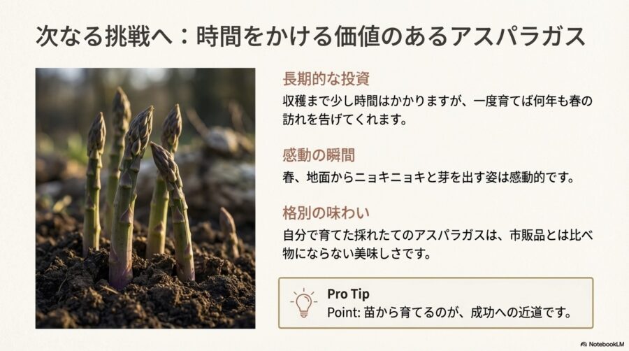 多年草野菜の植え付け時期と準備