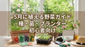 5月に始める！野菜種・苗・プランター栽培の初心者向けガイド