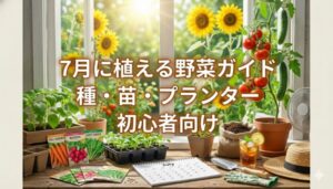7月に植える野菜の苗や種ってある?初心者向けプランター菜園スタートガイド