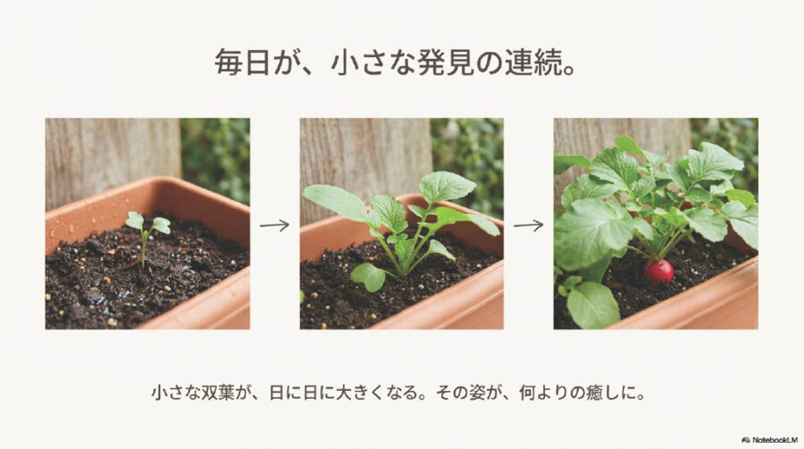 プランター菜園で新鮮野菜！春に植える野菜の下準備