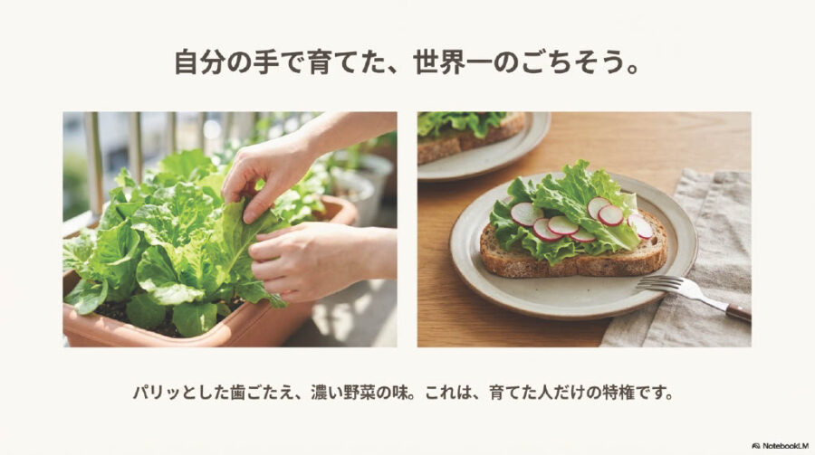 有機栽培に挑戦：初心者でも安心の始め方