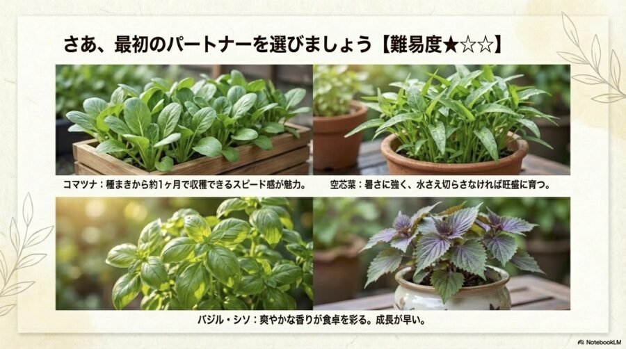 【夏に植える野菜】種と苗から育てるおすすめ野菜
