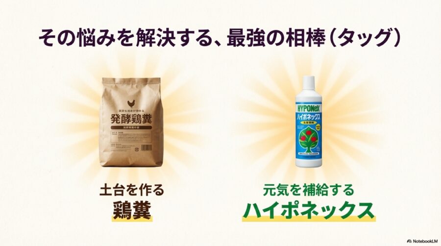 コスパ最強！土作りにも役立つ「鶏糞」の魅力