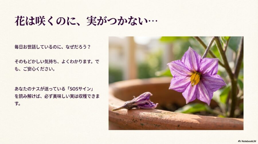 ナスのプランター栽培で初心者が知るべき基本