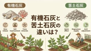 有機石灰と苦土石灰の違いは？家庭菜園初心者の使い分けガイド