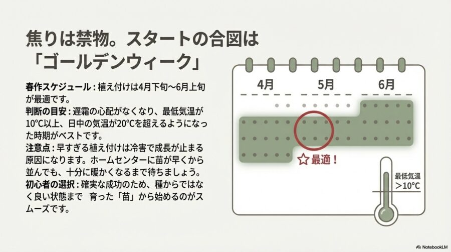 ミニトマト栽培 苗植えに適した時期とスケジュールの確認