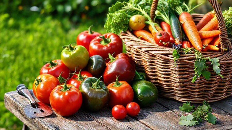 ダイソー セリア 野菜の種🌱おすすめ人気は？育て方と活用術 - 収穫後の楽しみ方：簡単レシピと保存方法