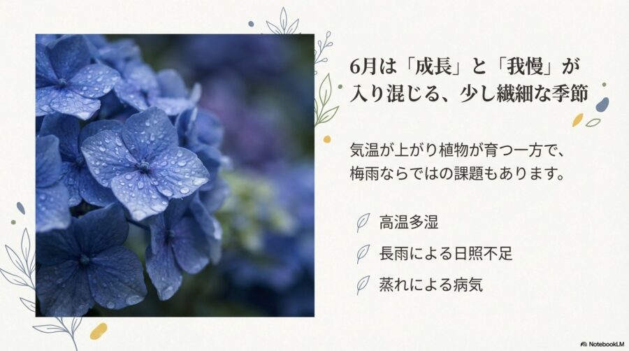 失敗しない6月に植える花の選び方