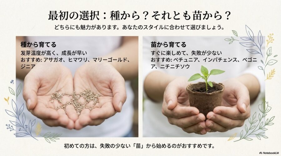 初心者におすすめなのは種と苗どっち