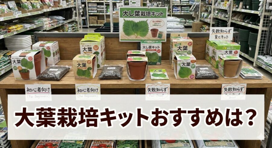 ホームセンターの大葉栽培キットおすすめは？失敗しない選び方