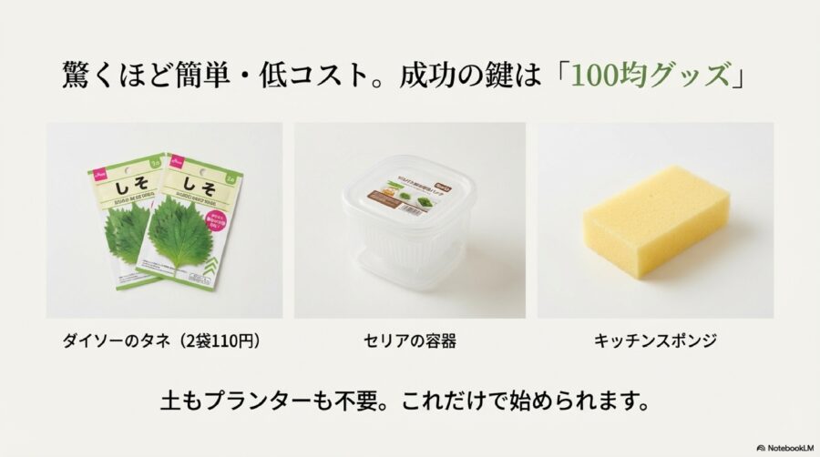 大葉の水耕栽培を100均のタネとグッズで楽しむ!