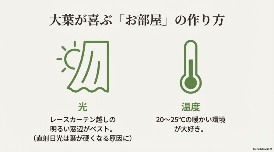 大葉の水耕栽培を100均のタネとグッズで楽しむ!失敗しないコツ 種まきから発芽までのポイントと適切な温度管理