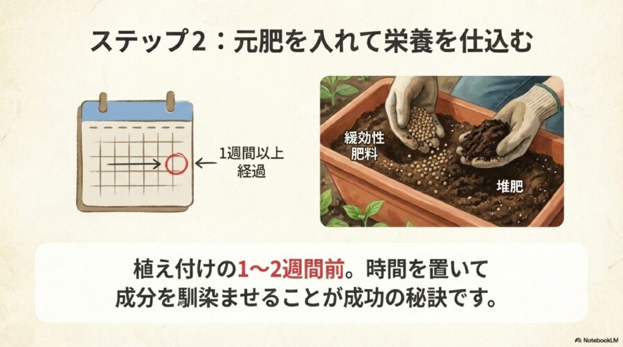 肥料を入れる手順とトマトの土づくり